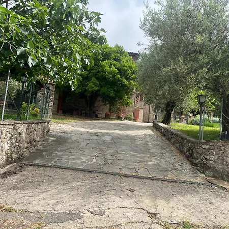 Ernesto Dom wakacyjny *